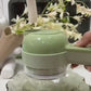 Rechargeable 4 In 1 Electric Vegetable Cutter With Multi-Function Slicer, Chopper, Grinder And Peeler For Fast Kitchen Preparation (Random Color)